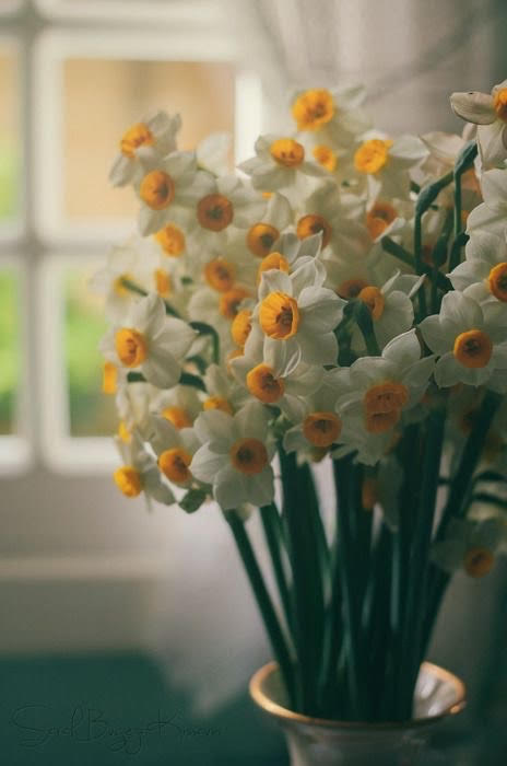 Setting up for Spring